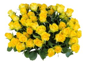 Happy Mother’s Day and Thank You!