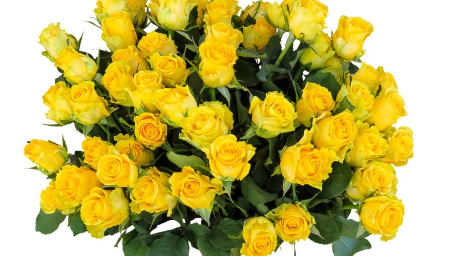 Happy Mother’s Day and Thank You!